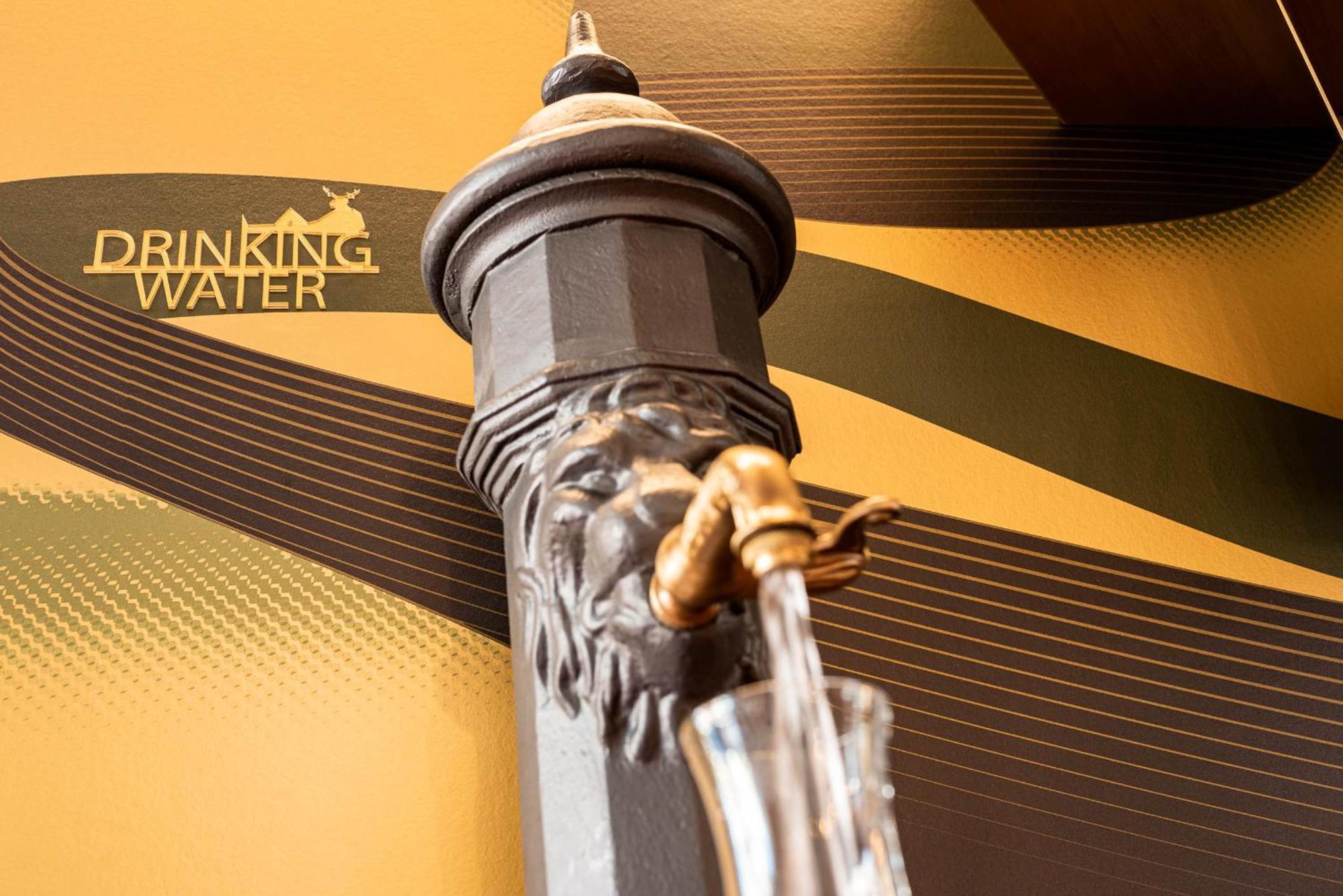 Hirschen Oberkirch - Design Boutique Hotel Luaran gambar